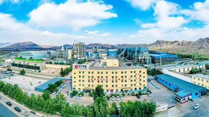 全国仅两家电石企业获这个国家级荣誉 东方希望乌海电石拿到了!