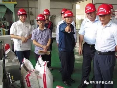 全市非公有制经济工作调研组在鄂托克旗开展集中调研工作