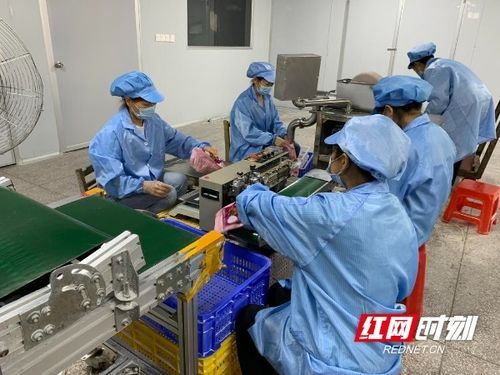 江永县农产品畅销全国市场