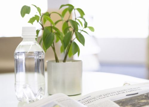 3月底,冲破雾霾,红鸾星动 ,熬过苦难,迎来幸福,再续前缘 生肖