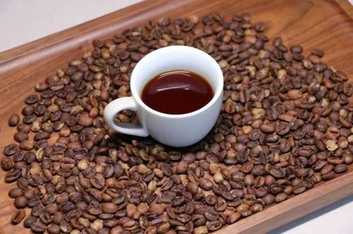 保山小粒咖啡荣获 全国名特优新农产品 称号