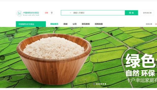中国绿色安全食品 全国范围性消费增值电商平台