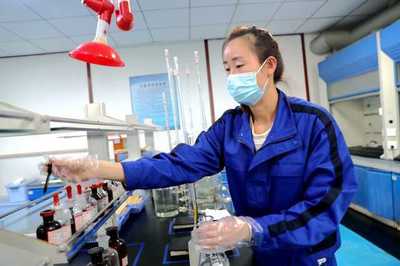 宁夏平罗县:聚力打造高质量发展新“引擎”