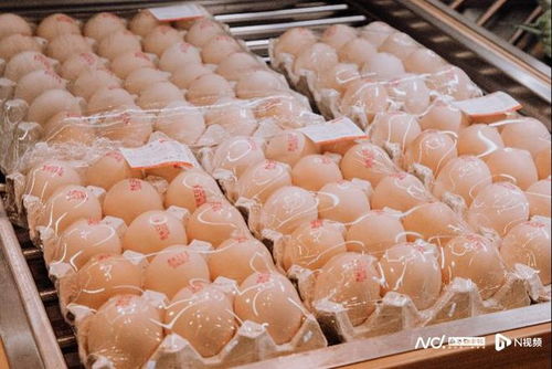 全国基地直采助力 百千万工程 钱大妈带动农产品出山入湾