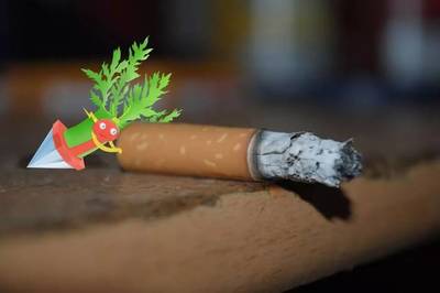 许昌电石兽:河南籍“宝可梦”,实力堪比皮卡丘!丨百城神兽图鉴