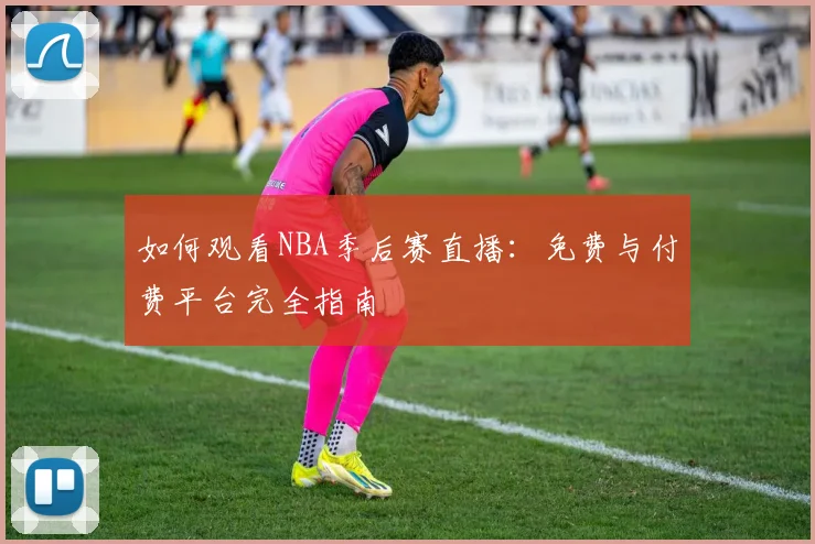 如何观看NBA季后赛直播：免费与付费平台完全指南