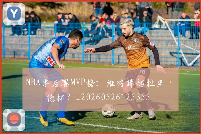 NBA季后赛MVP榜：谁将捧起拉里·伯德杯？_20260526125355