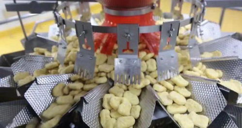 肉鸡出栏20.45亿只 山东为全国肉类食品安全供应持续保驾护航