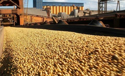 巴拉圭国内呼声高涨 中巴建交前景下的南美外交新动向